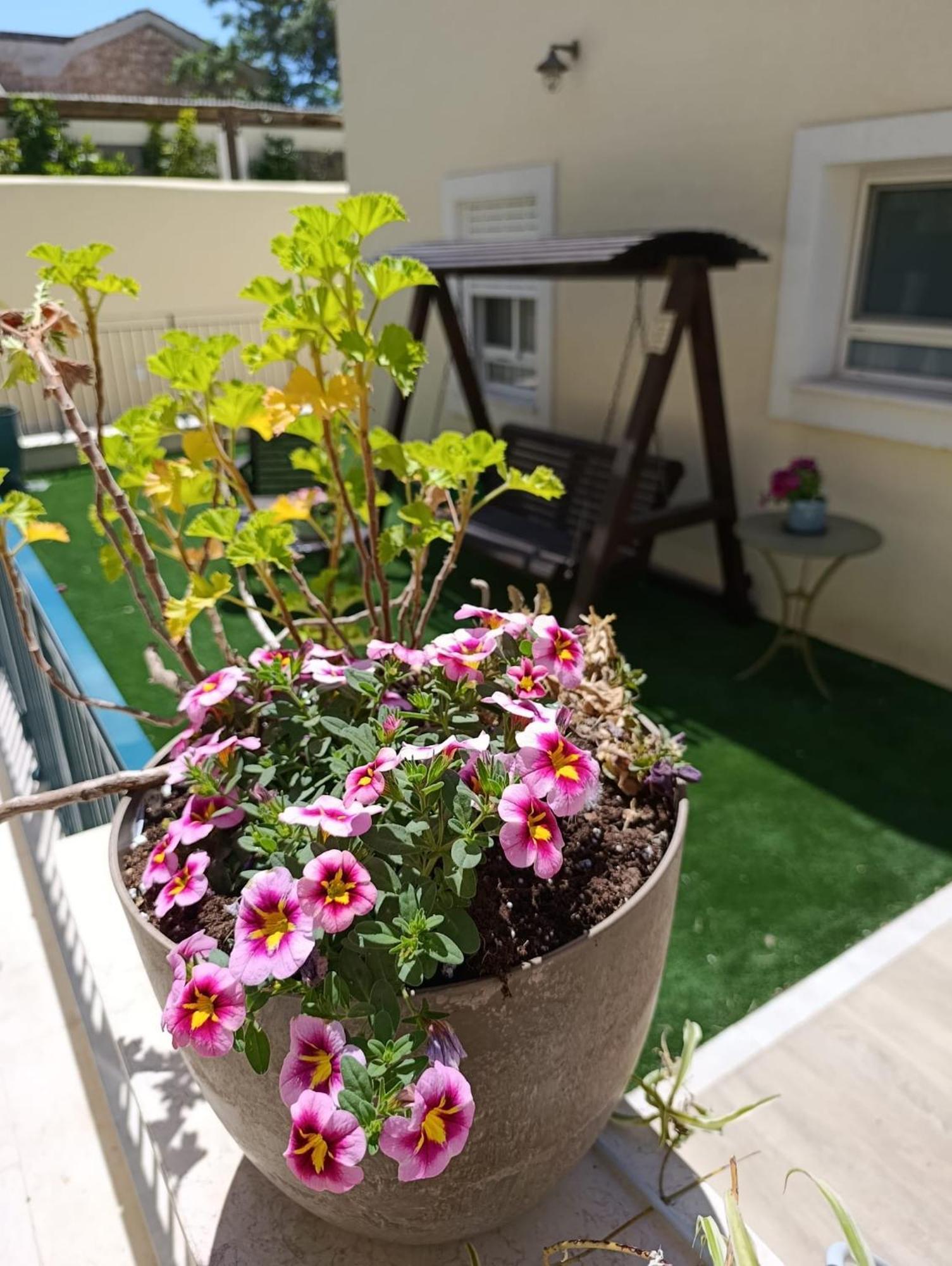 49 Boutique Villa Zikhron Ya'akov Room photo